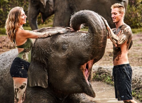 エレファントマッドファン